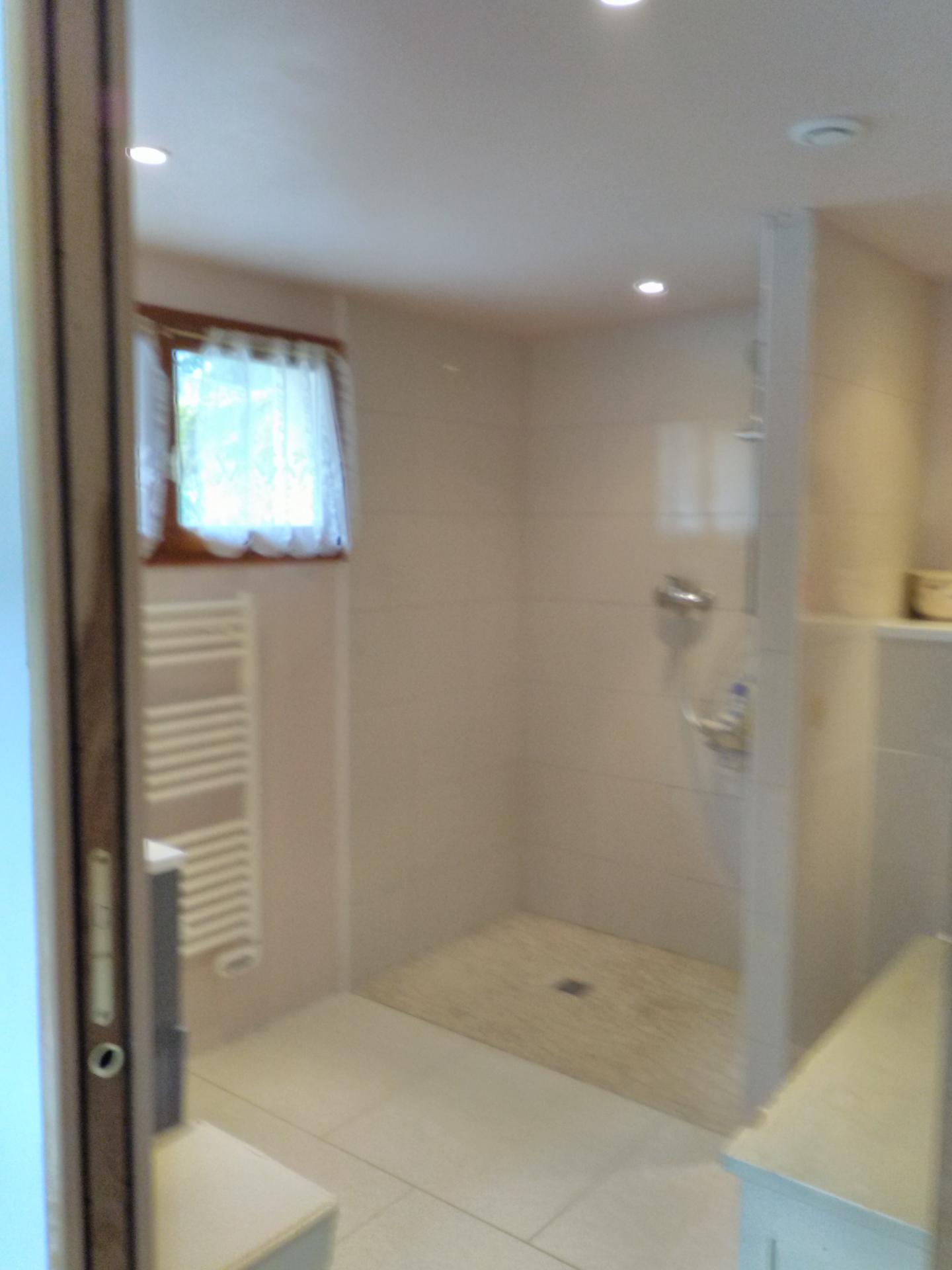 Salle de bain spacieuse avec douche à l'italienne